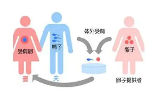 武汉60岁助孕男孩：首先，你需要明确的是你在寻找什么。(图1)